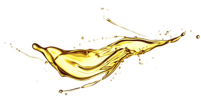 Prolubex Lubricantes Motor Prolubex Lubricantes Motor